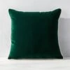 Bronte Green Velvet Outdoor Throw Pillow 20'' -Home Series Shop BronteGrnVltODPllw20SHS23