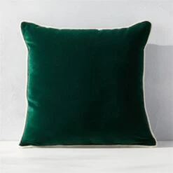 Bronte Green Velvet Outdoor Throw Pillow 20''
