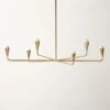 Meldon Polished Brass Chandelier -Home Series Shop MeldonPldBrsChandelierSHF22