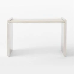 Raggio Stainless Steel Desk With White Wood Top -Home Series Shop RaggioPolishedSSDeskSOSSF22